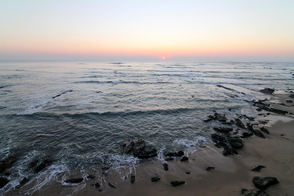 Hotel Teimoso Figueira da Foz Oda fotoğraf